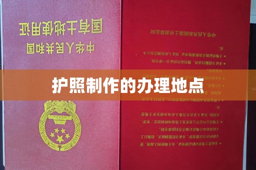 保税港区护照制作的办理地点