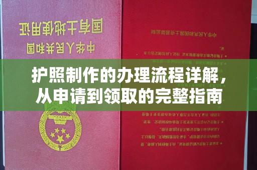 金普新区护照制作的办理流程详解，从申请到领取的完整指南